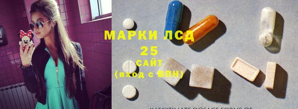 ГАЛЛЮЦИНОГЕННЫЕ ГРИБЫ Лихославль