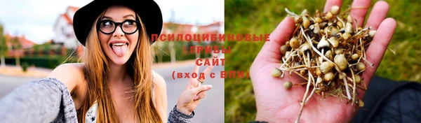 ГАЛЛЮЦИНОГЕННЫЕ ГРИБЫ Лихославль