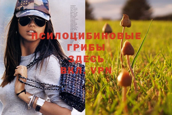 метамфетамин Липки