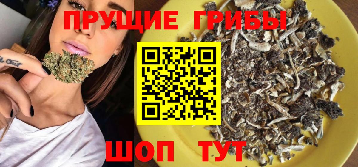 Хасавюрт  Галлюциногенные грибы GOLDEN TEACHER  Вход с VPN 