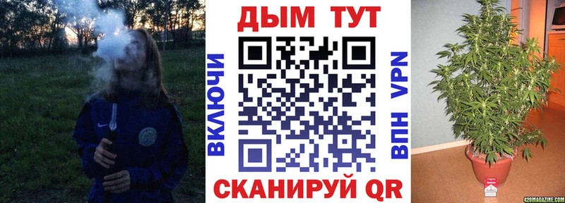 где можно купить наркотик  Хасавюрт  Бошки Шишки план 